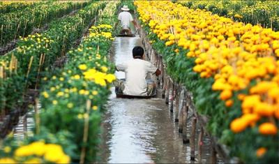 Những trải nghiệm thú vị ở Đồng Tháp